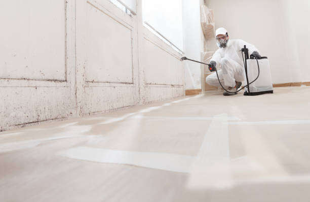 24/7 Emergency Attic Mold Remediation experts in College Park, MD
